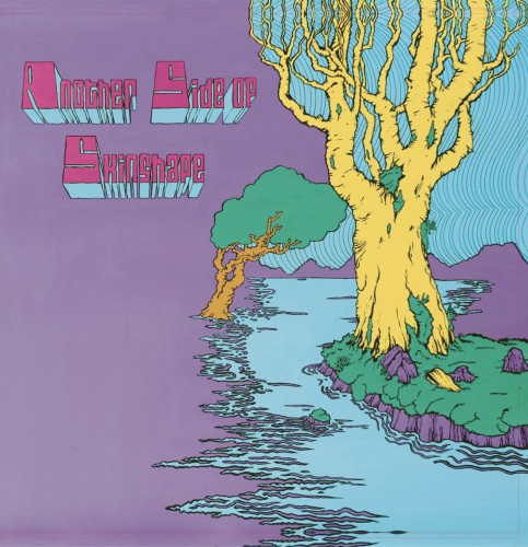 Skinshape - Another Side of Skinshape