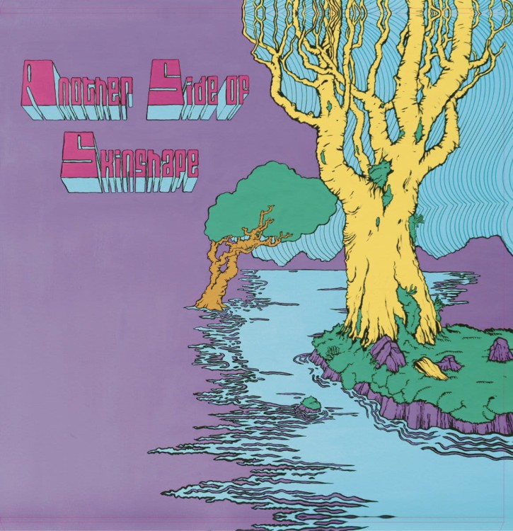 Skinshape - Another Side of Skinshape