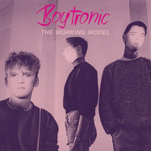 Boytronic - The Working Model