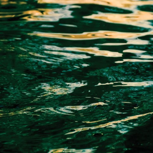 Jo Johnson - The Wave Ahead